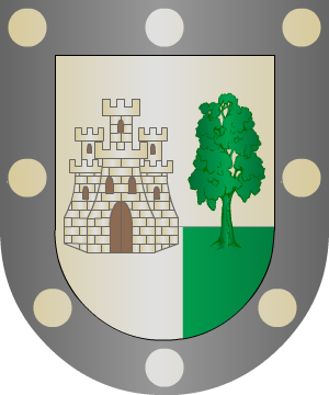 ESCUDO SIGUIENTE